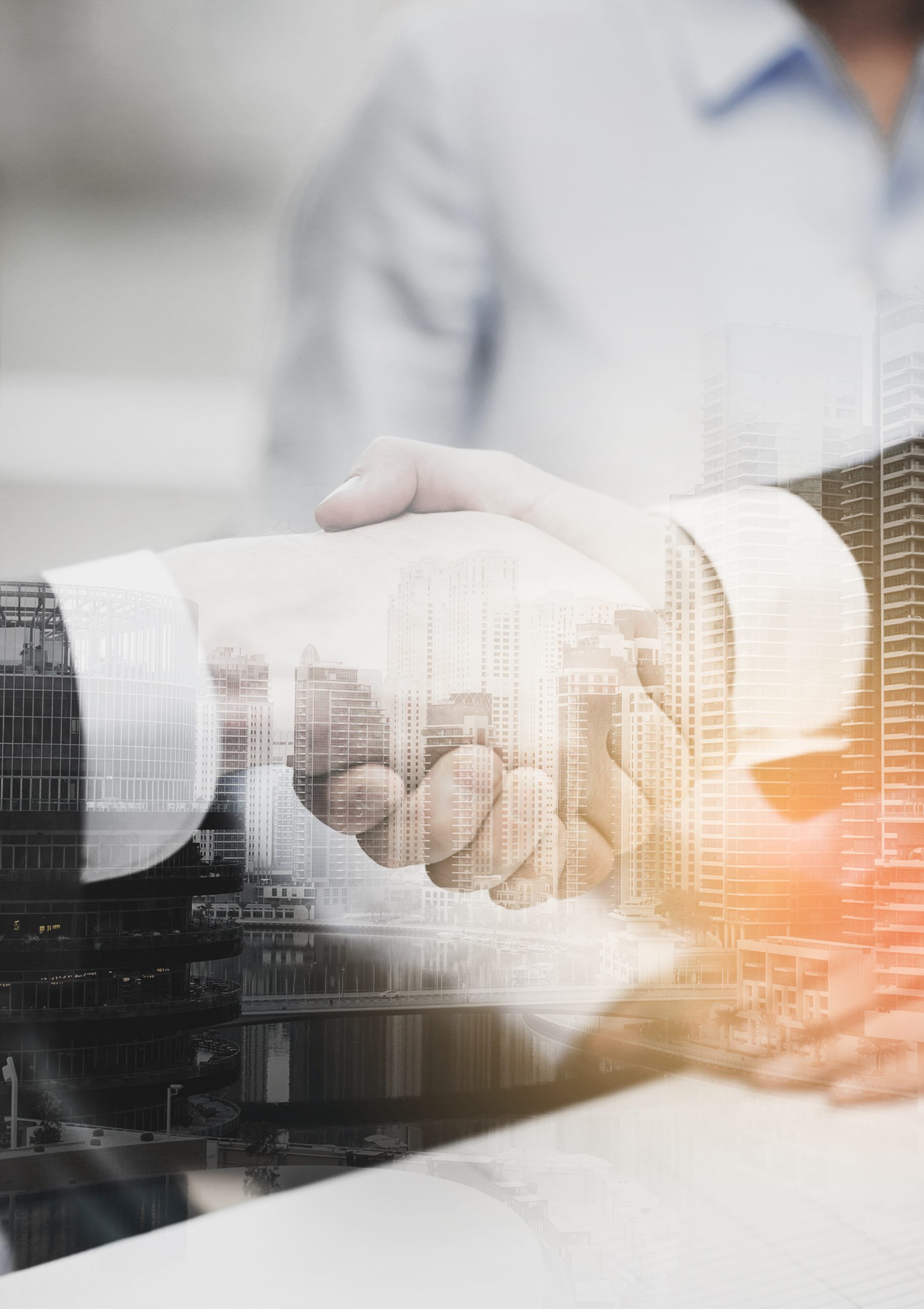 two businessmen shaking hands in office